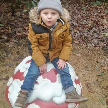 Babysitten Torhout: babysitadres Sven