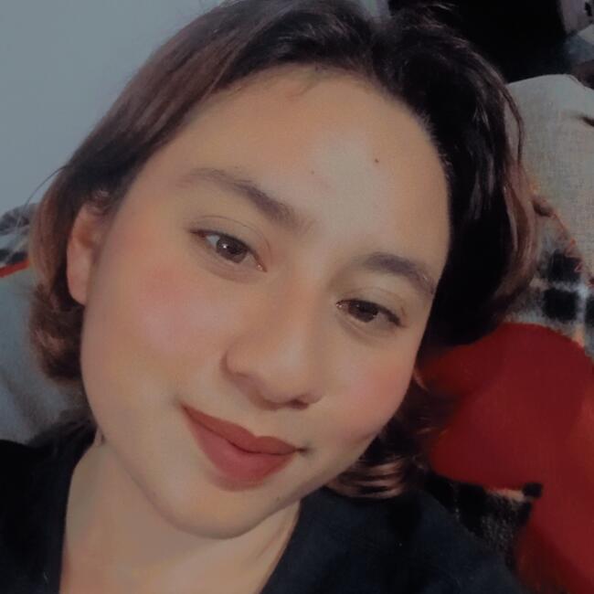 Babysitter in Bogotá: Viviana