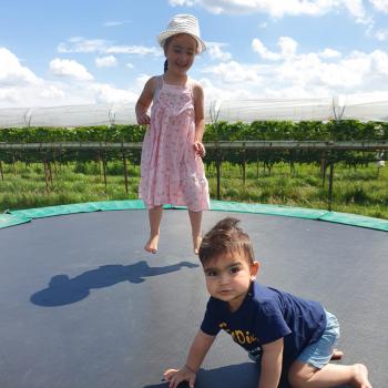 Oppaswerk Culemborg: oppasadres Meral