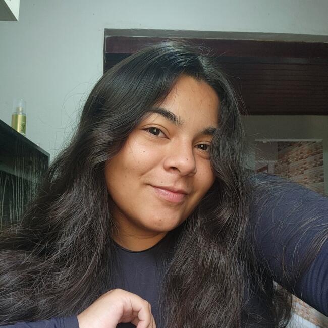 Babysitting job in Guapimirim: Alice