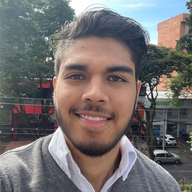 Babysitting job in Manizales: Andres David Hidalgo