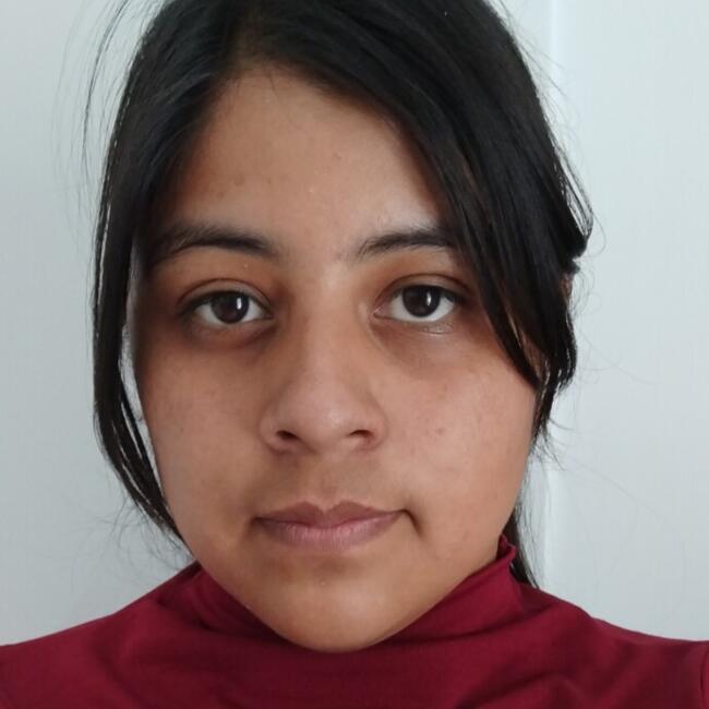 Babysitter in Toluca: Ana María