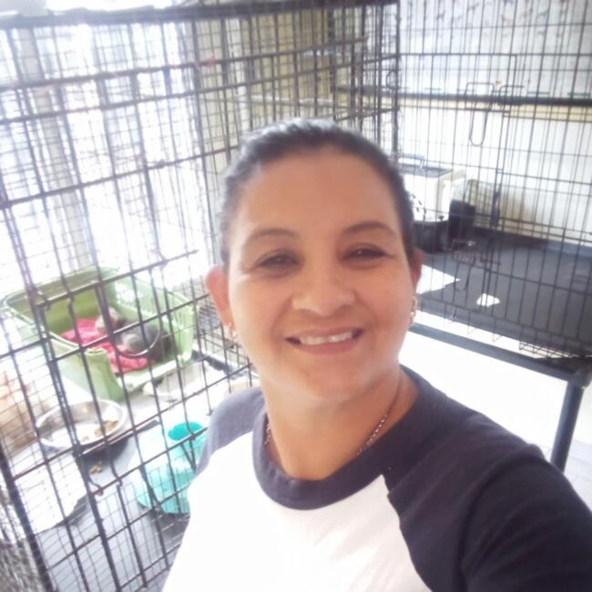 Niñera en Caracas: Bethania