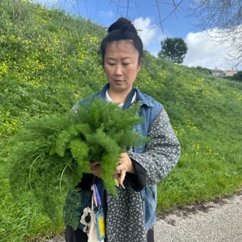 Babysitter in Lisbon: 李紫言