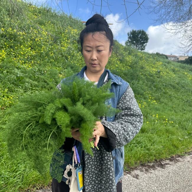 Babysitter in Lisbon: 李紫言