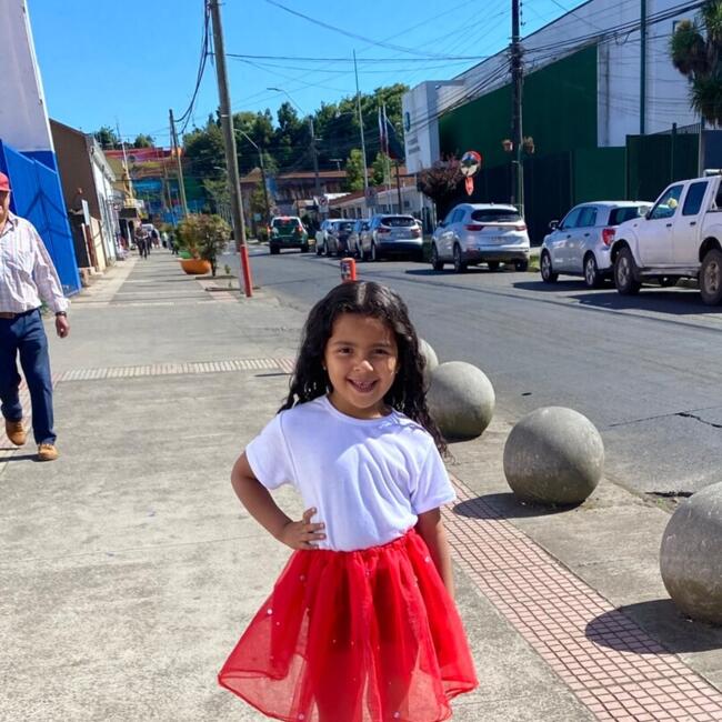 Babysitting job in Santiago: Paulina