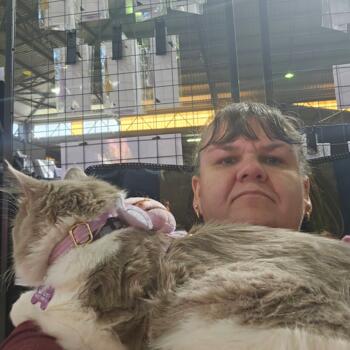 Babysitter in Toowoomba: Tammy