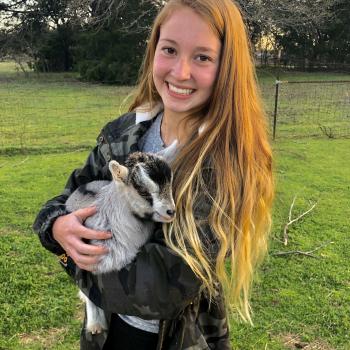 Babysitter Forney (Texas): Rylie