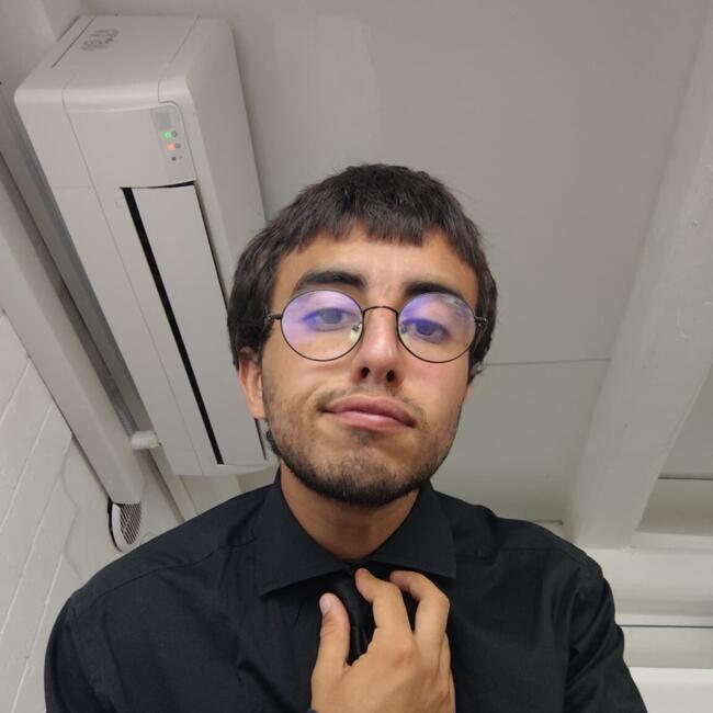Babysitter in Milan: Nicolo