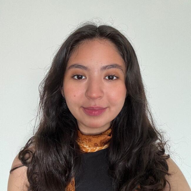 Niñera en Providencia: Valentina