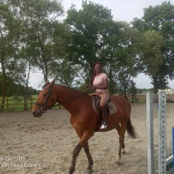 Nanny in Antwerpen: Salmata