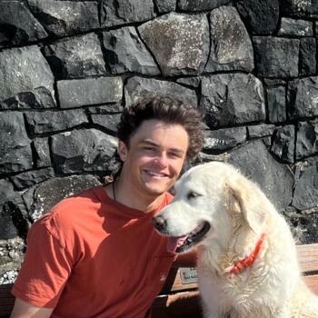 Babysitter in Whangarei: Alec