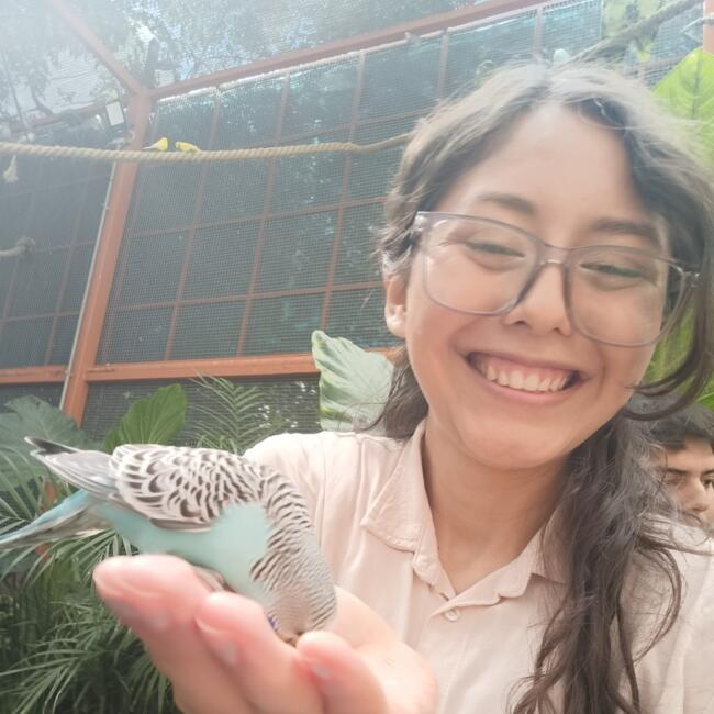 Babysitter in Mexico City: Shinehah Mendoza