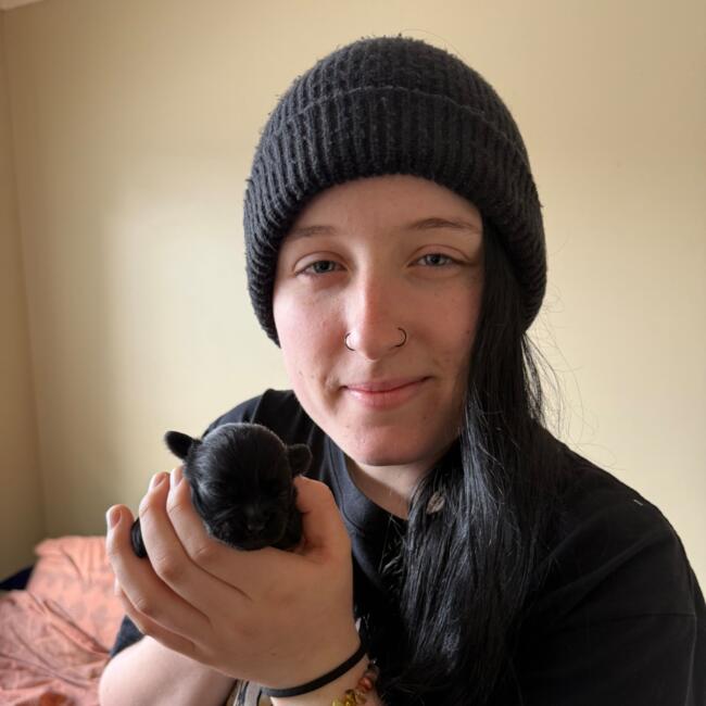 Babysitter in Hamilton: Chantelle