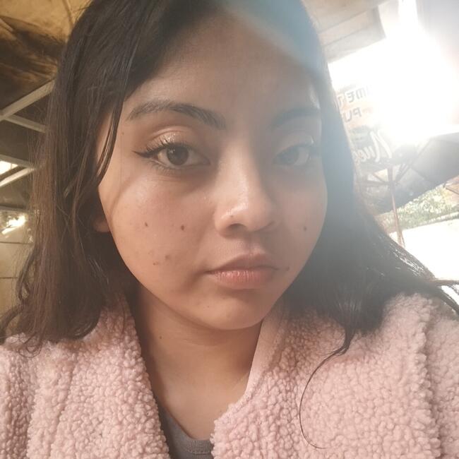 Niñera en Santiago de Chile: Ailyn