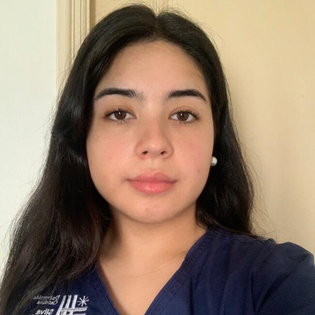 Niñera en Santiago de Chile: Sonia