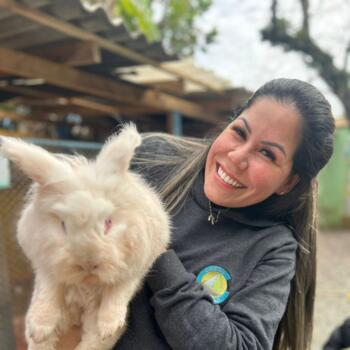 Babysitter in Itajaí: Leticia