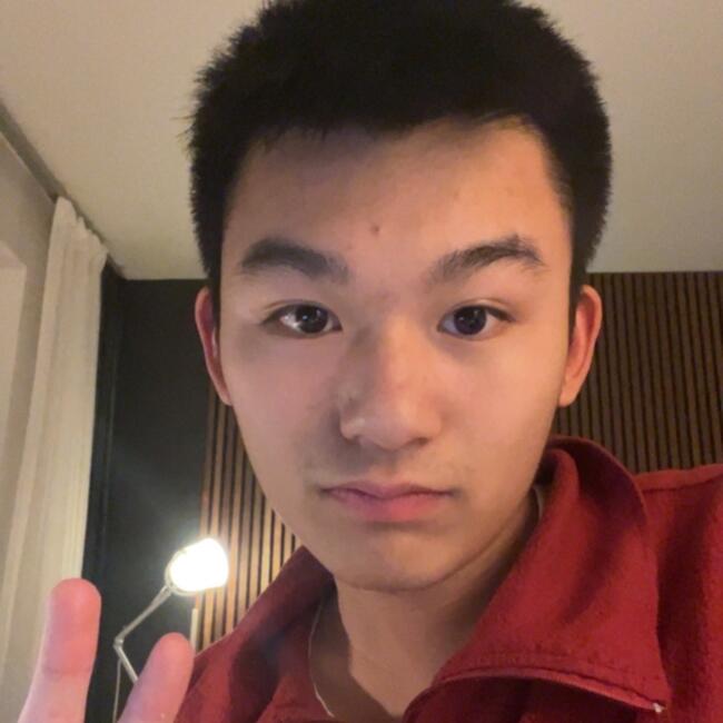 Babysitter in Borlänge: Erik