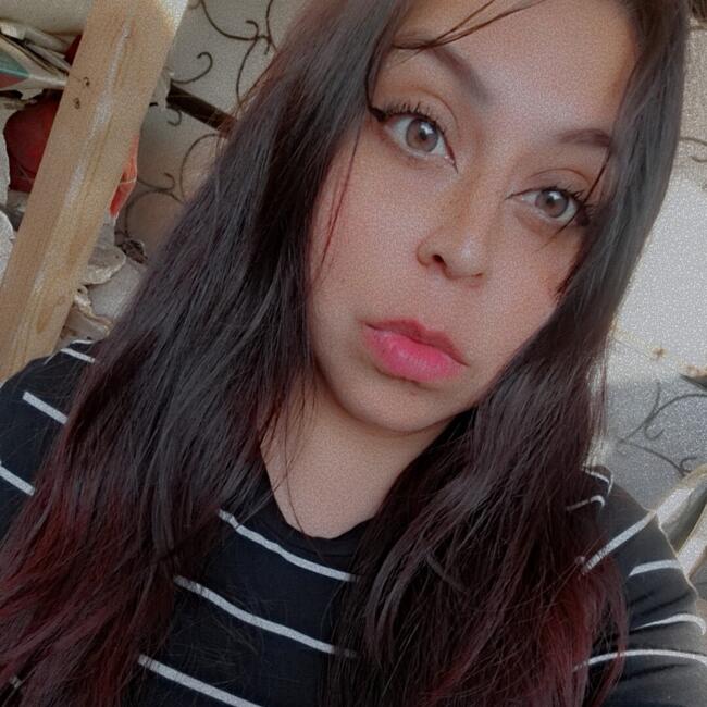 Babysitting job in La Serena: Constanza