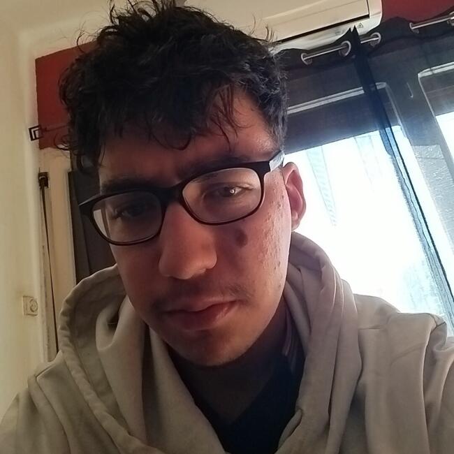 Babysitter in Sant Joan de les Abadesses: Marc