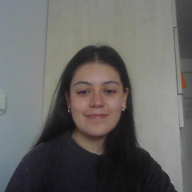 Babysitter em Leiria: Ana Paula