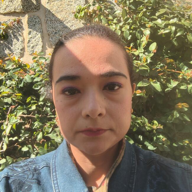 Trabajo para niñera en Viña del Mar: Dianela