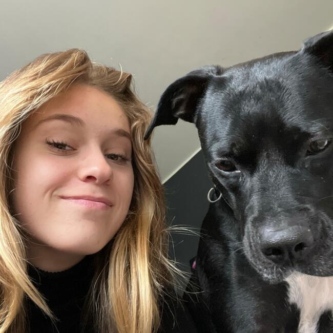 Babysitter in Deinze: Jelena