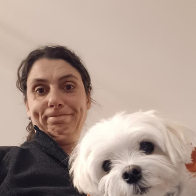 Babysitting job in Albizzate: Jessica