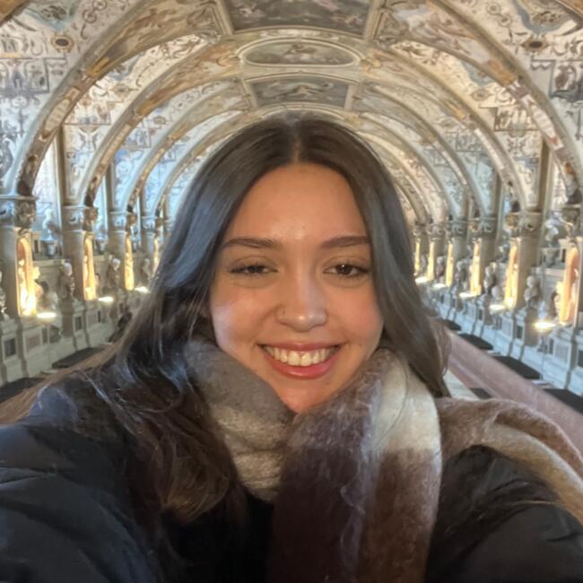 Niñera en Santiago de Chile: Trinidad