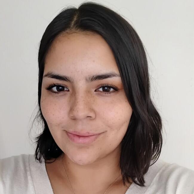 Babysitter in Calama: Ixshel