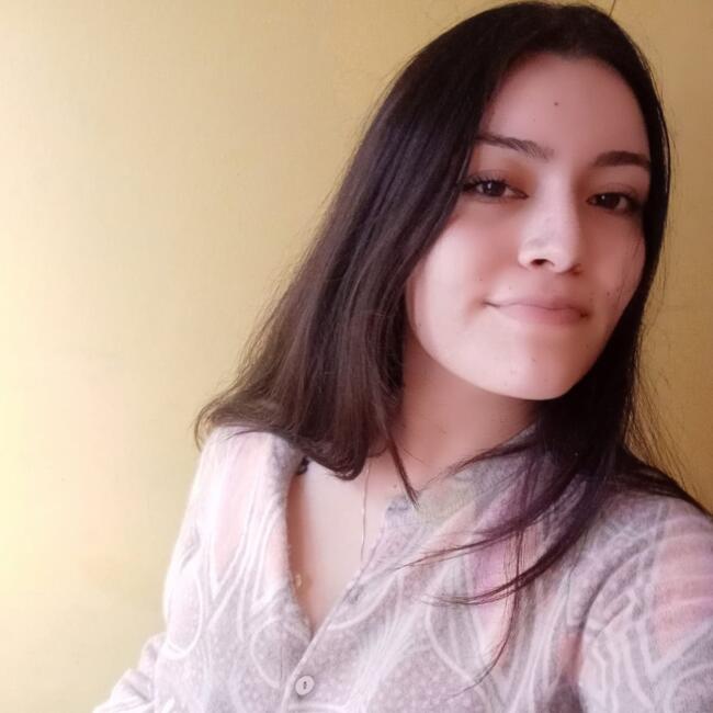 Babysitter in Temuco: Nayeli