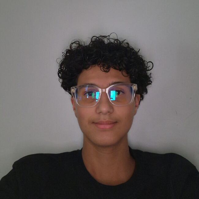 Babysitter in Luxembourg: Anis