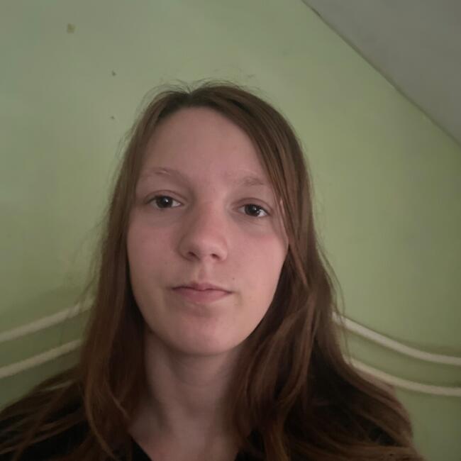 Babysitter in Louvroil: Madisone