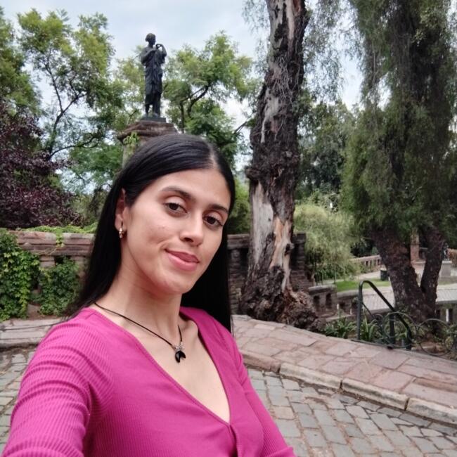 Niñera en Santiago de Chile: Monica Herrera