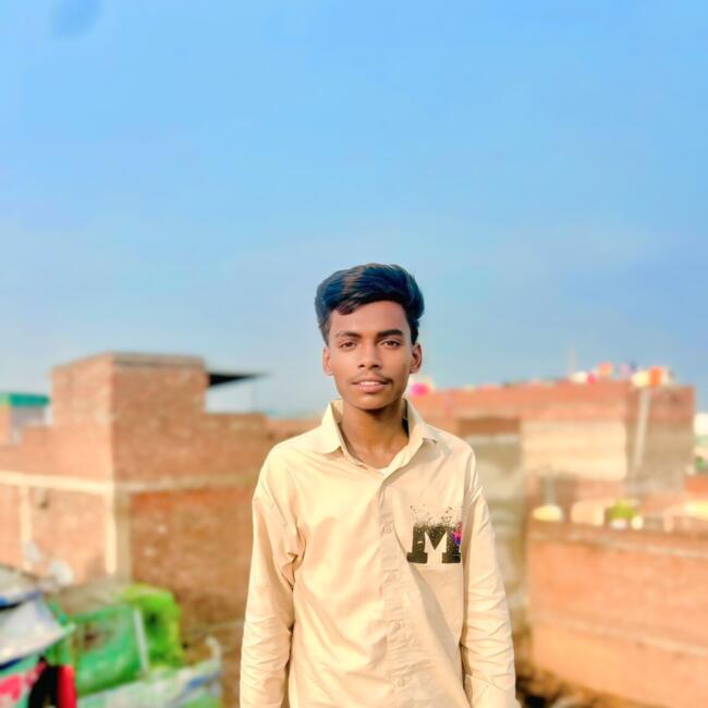 Babysitting job in Ludhiana: Vicky