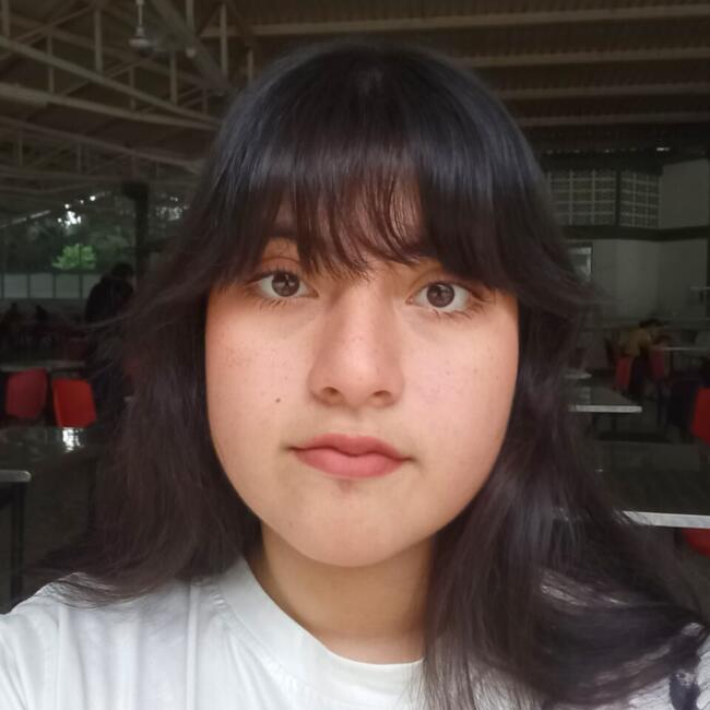 Niñera en Ibagué: Nicol