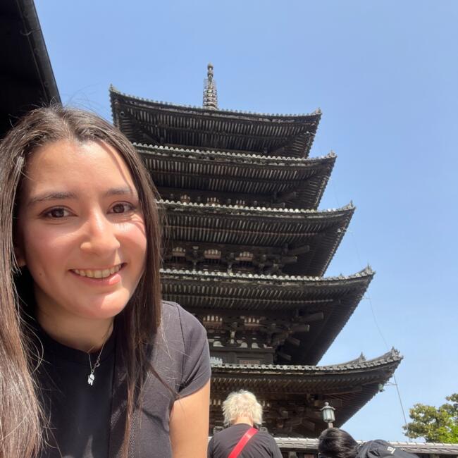 Babysitter in Rancagua: Camila