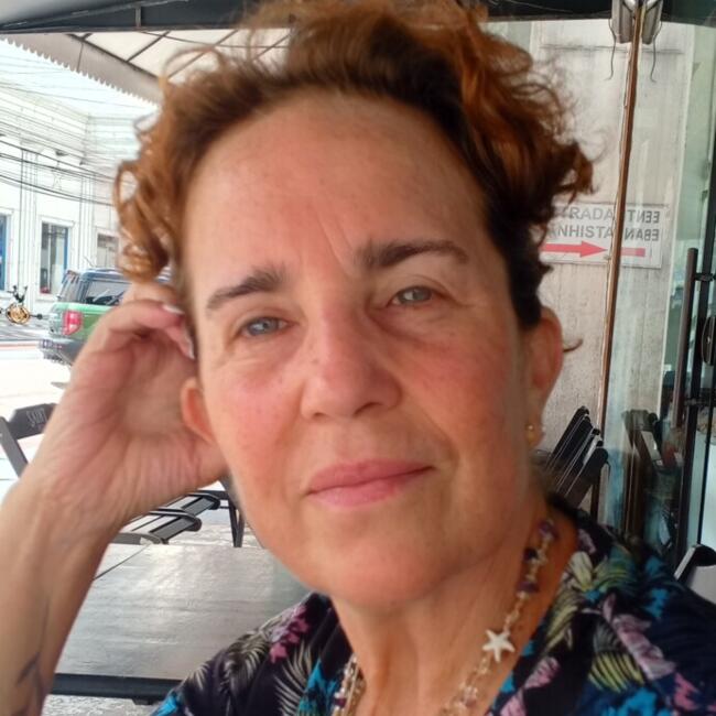 Babysitter in Florianópolis: Viviana