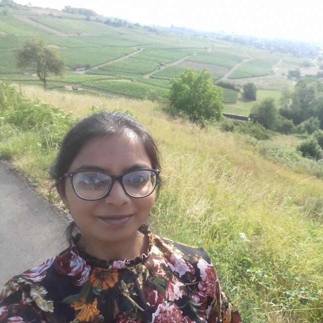 Babysitting job in Luisant: Fifou