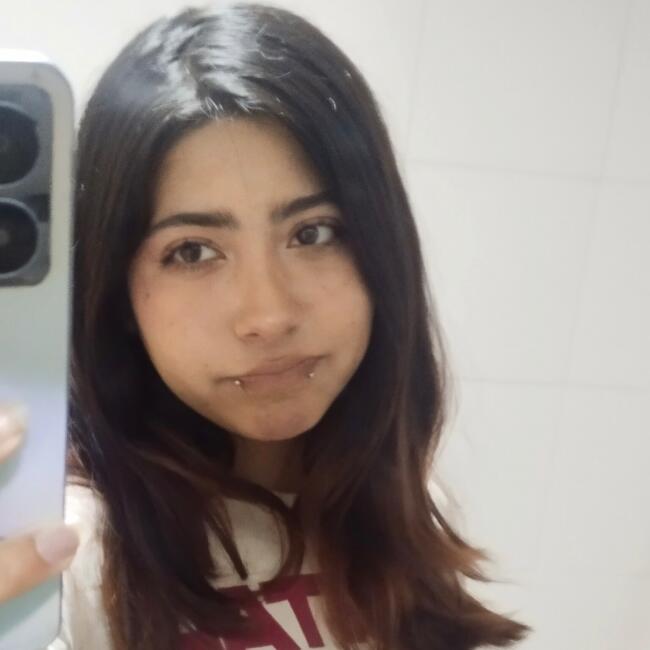 Babysitter in Concepción: Sara