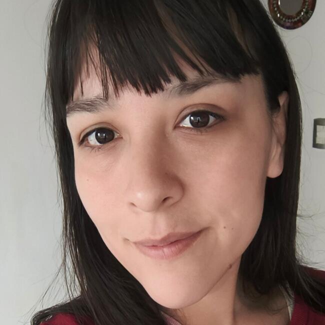 Trabajo para niñera en Santiago de Chile: Naime