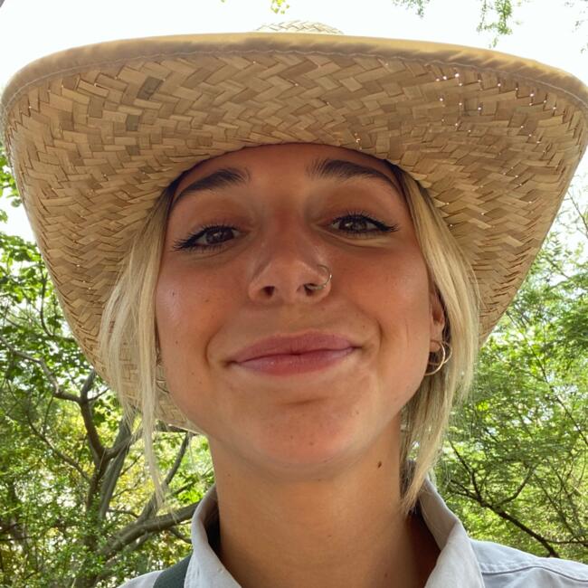 Babysitter in Bristol: Holly