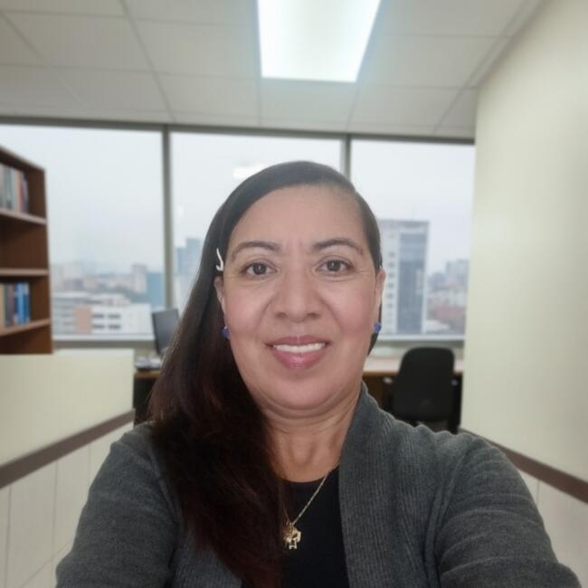 Babysitter in Alto Boquete: Lady