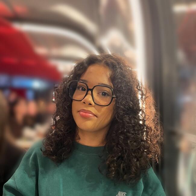 Babysitter in Le Pellerin: Sylia