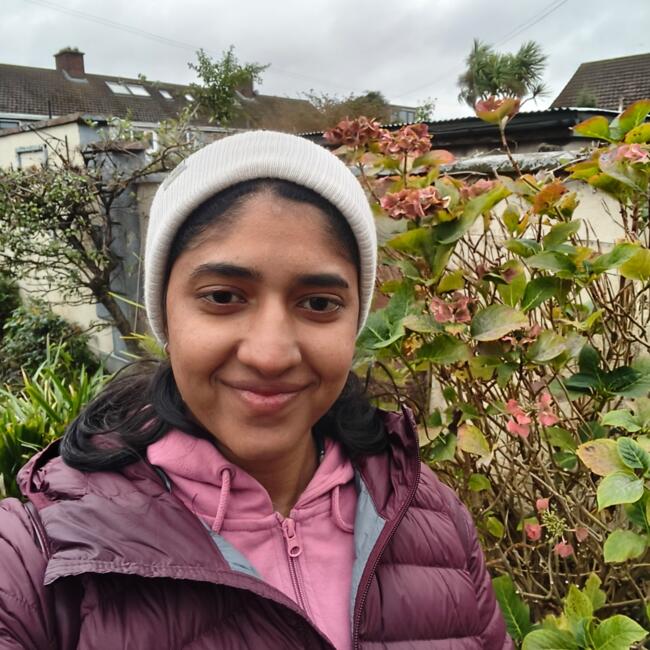 Babysitter in Dublin: Irin