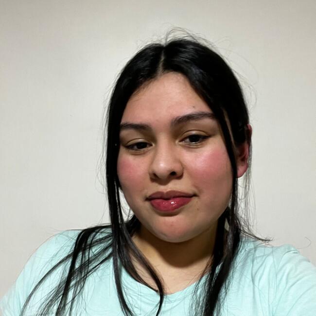 Babysitter in Concepción: Anita