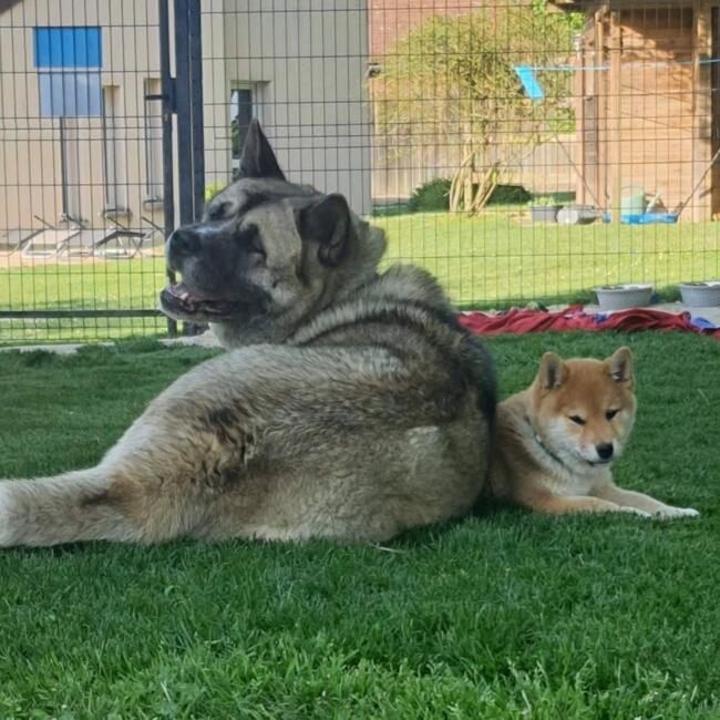 Agence de garde d'enfants à Bèze: Vanessa