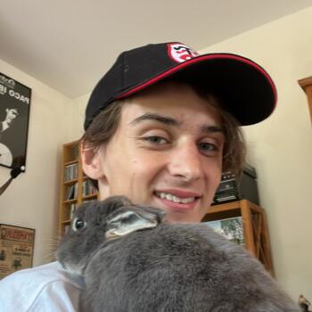 Babysitter in Laval: Paul