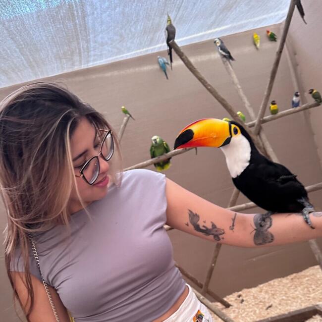 Babysitter in Valparaíso: Christell