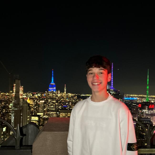 Babysitter in Boadilla del Monte: Lucas